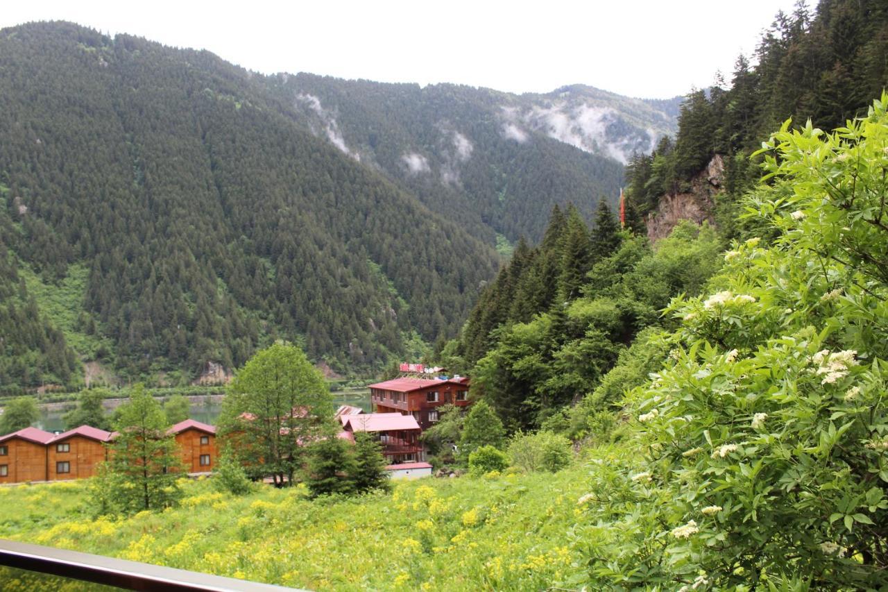 Faraksi Bungalow&Otel Uzungol Bagian luar foto
