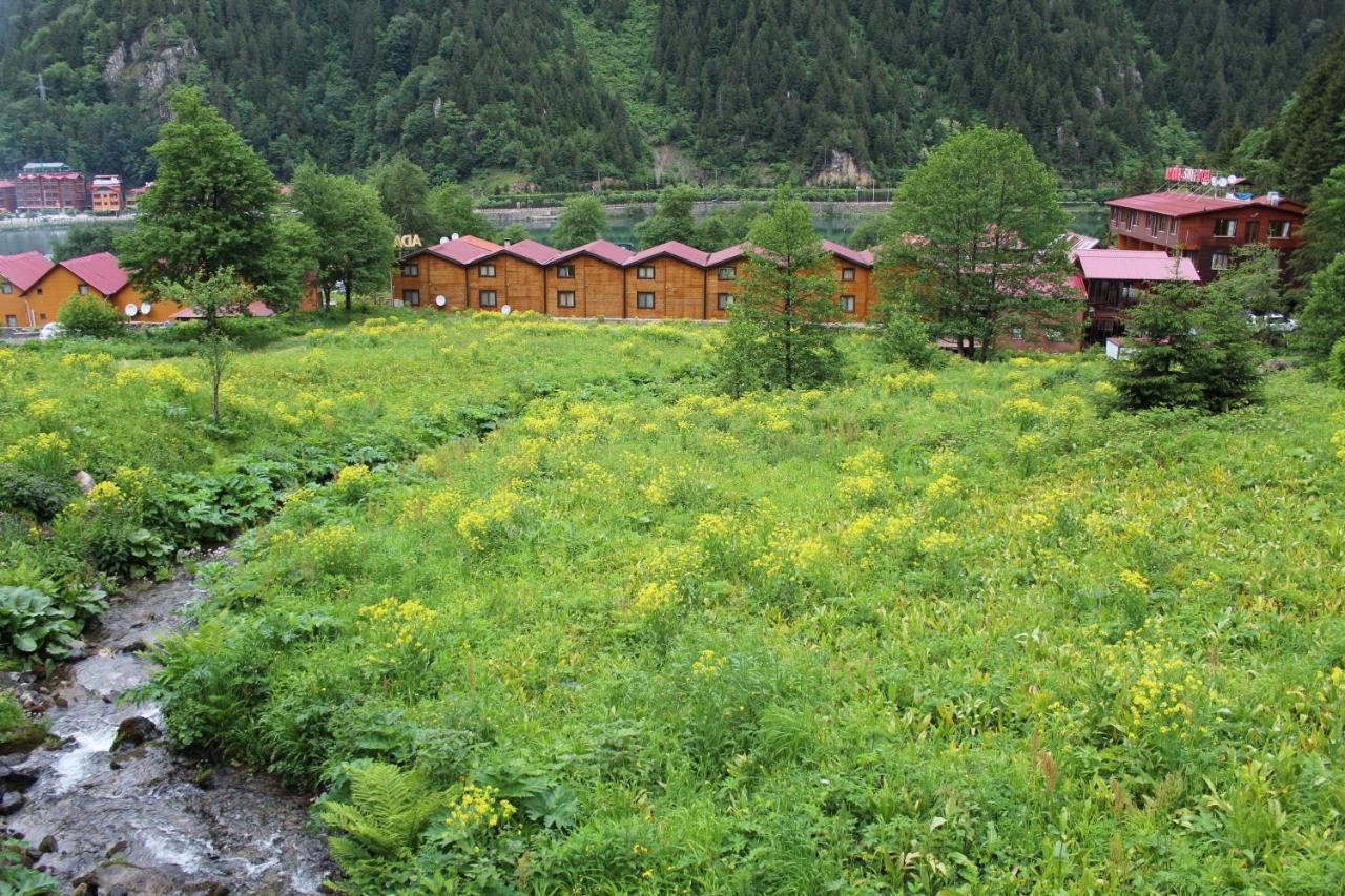 Faraksi Bungalow&Otel Uzungol Bagian luar foto