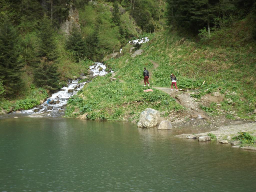 Faraksi Bungalow&Otel Uzungol Bagian luar foto
