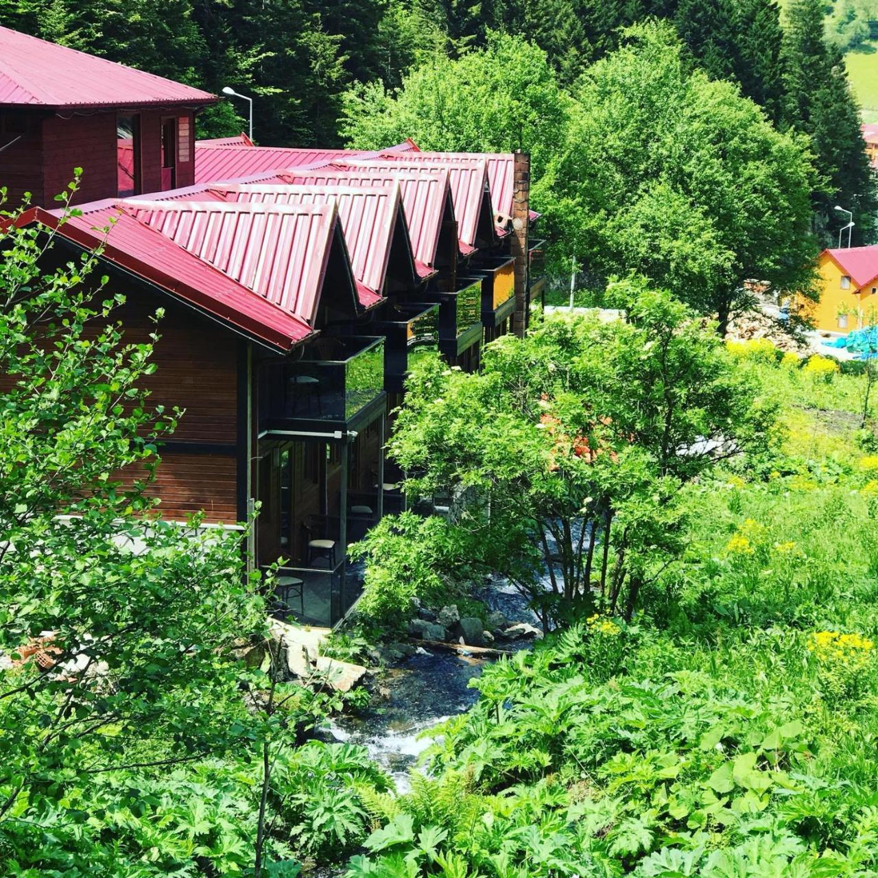Faraksi Bungalow&Otel Uzungol Bagian luar foto