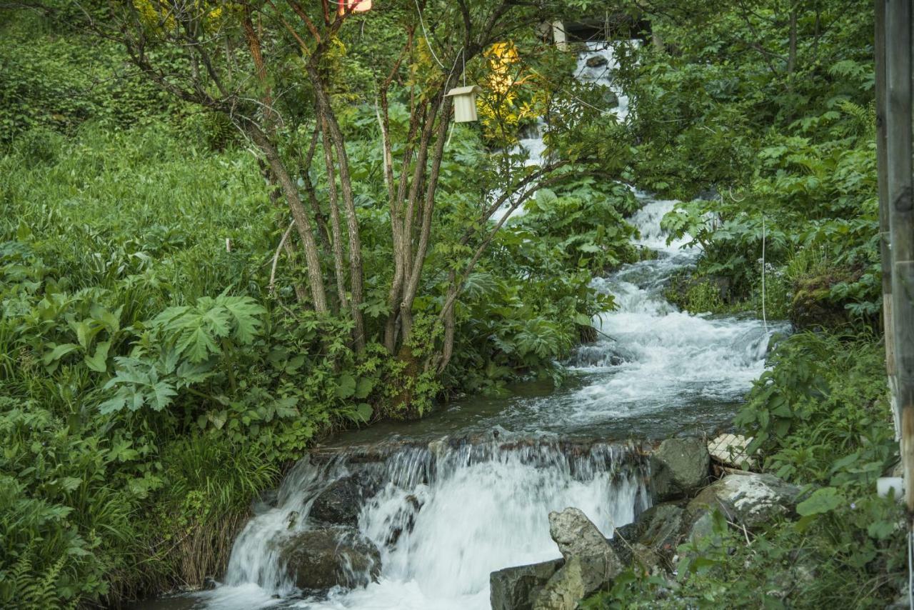 Faraksi Bungalow&Otel Uzungol Bagian luar foto
